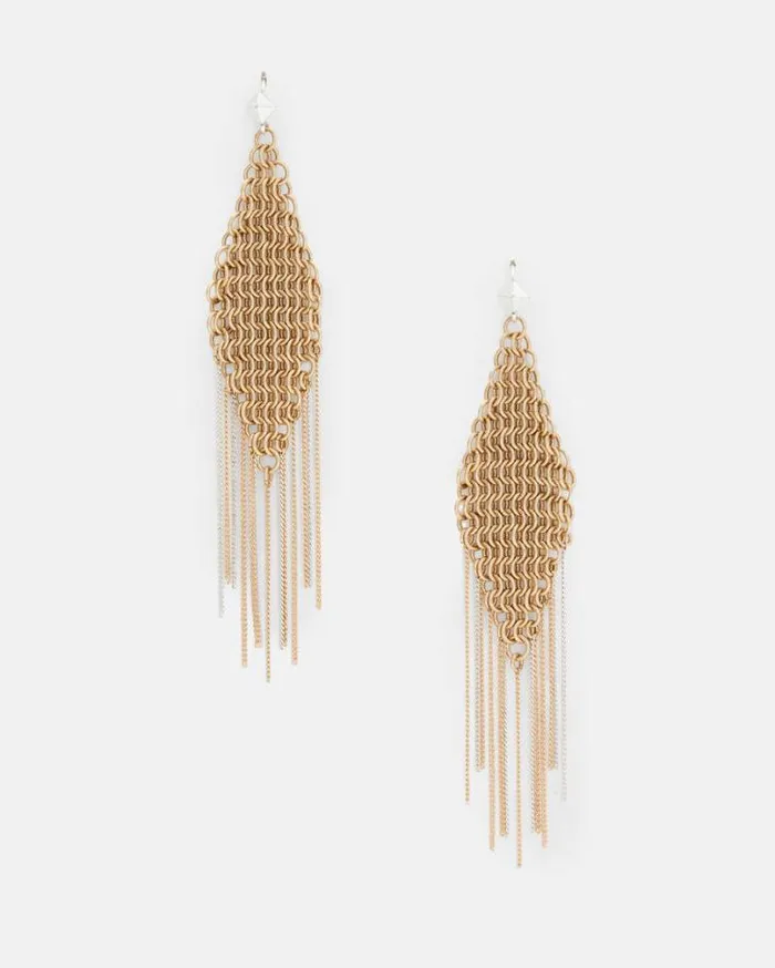 Lucila Fringed Chain Earrings Wrm Braswrm Slver Women AllSaints Accessories