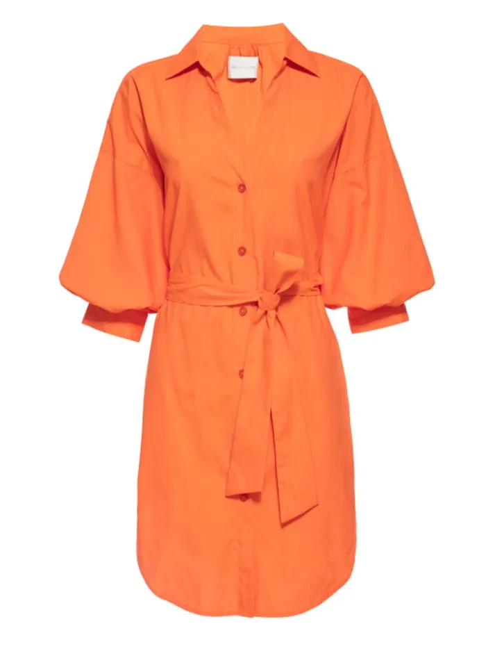 The Kate Belted Dress Tangerine Women Brochu Walker Dresses
