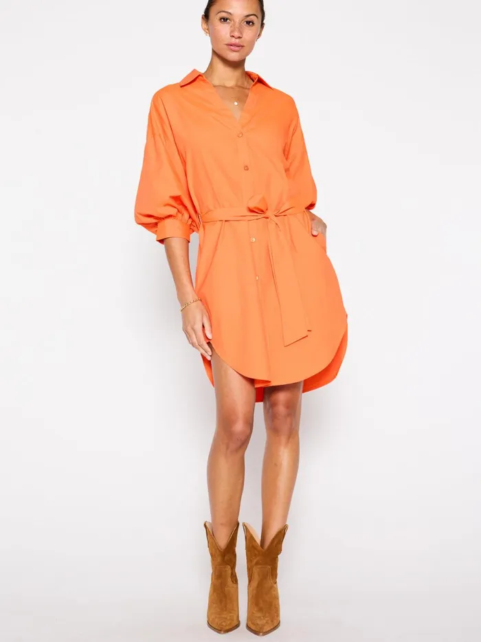 The Kate Belted Dress Tangerine Women Brochu Walker Dresses