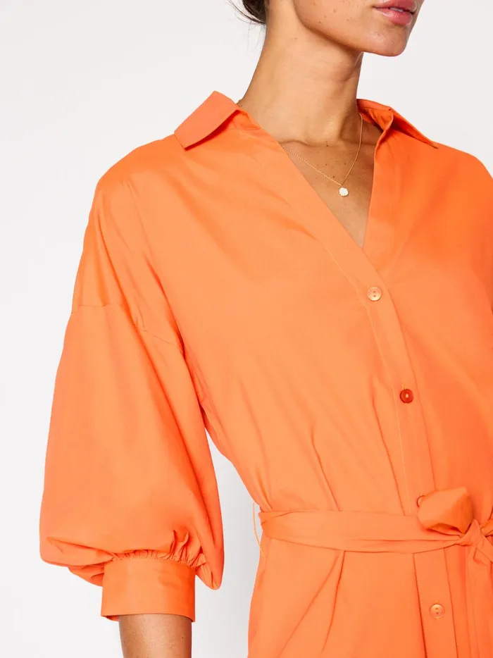 The Kate Belted Dress Tangerine Women Brochu Walker Dresses