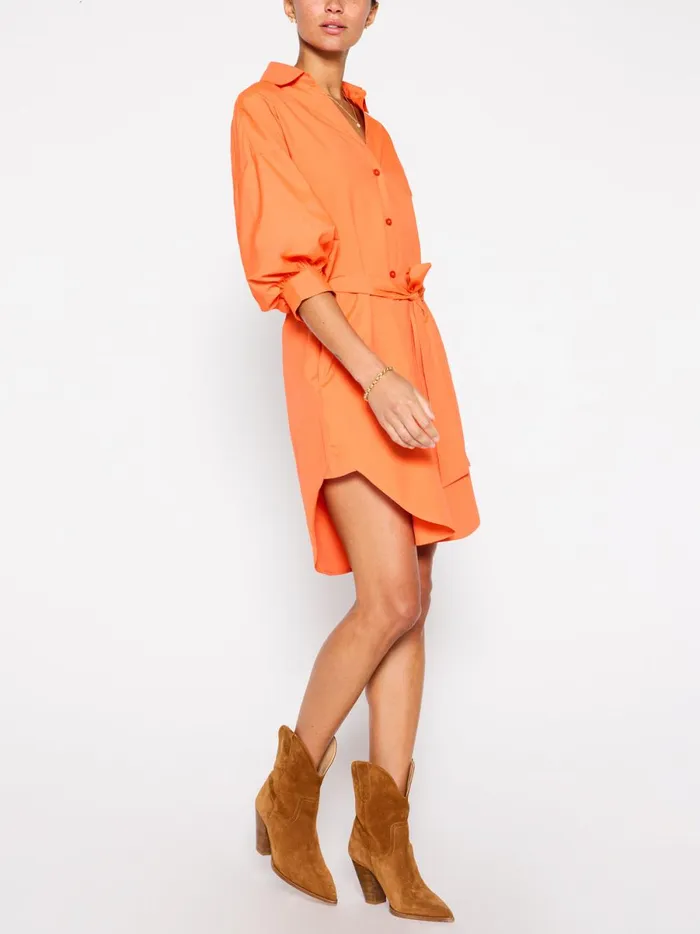 The Kate Belted Dress Tangerine Women Brochu Walker Dresses