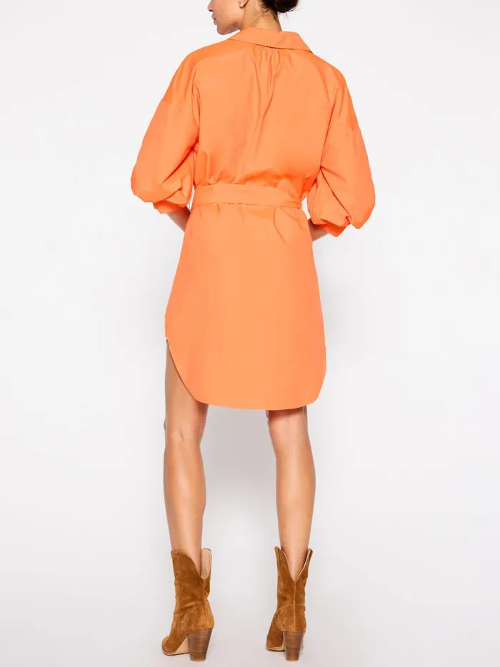 The Kate Belted Dress Tangerine Women Brochu Walker Dresses