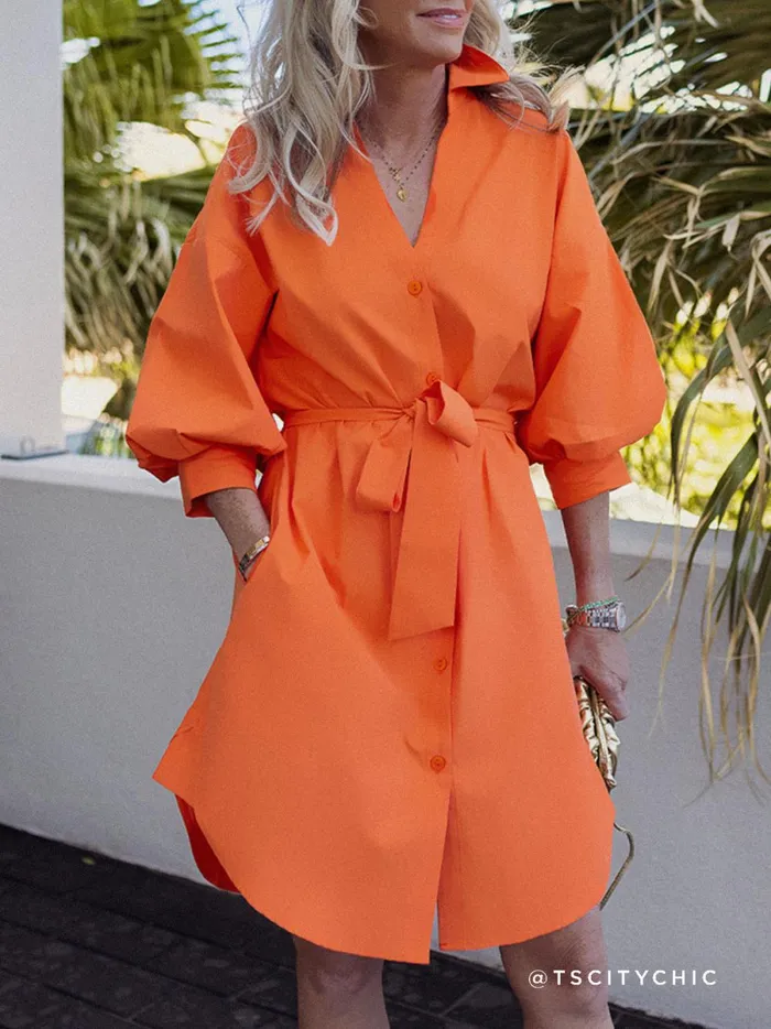 The Kate Belted Dress Tangerine Women Brochu Walker Dresses
