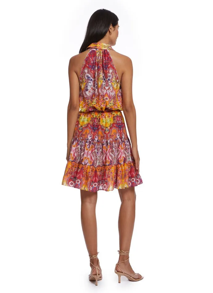 Women DAISY DRESS Multi Robert Graham Dresses