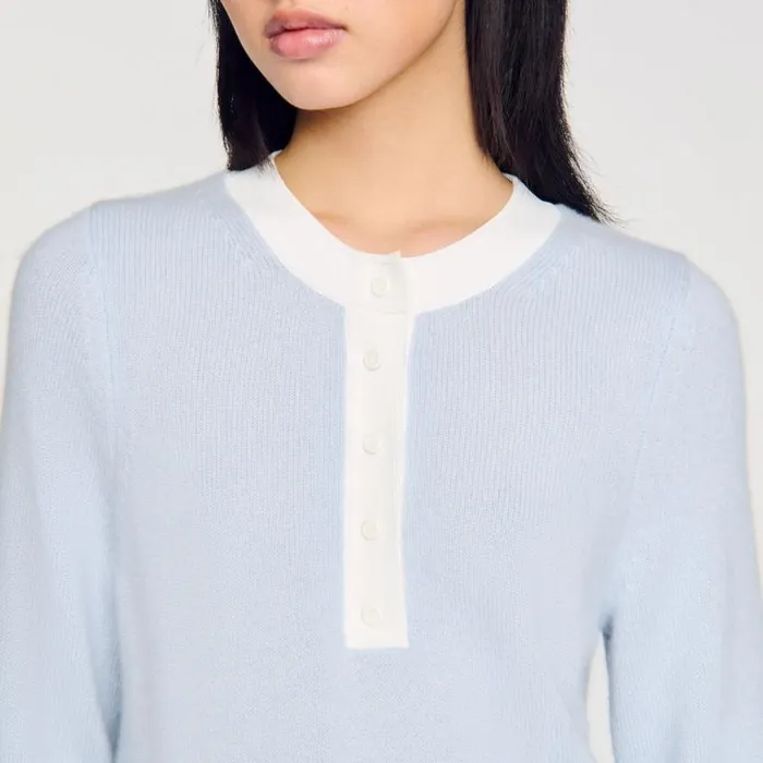 Women Sweaters and Cardigans SANDRO Wool And Cashmere Jumper Sky Blue